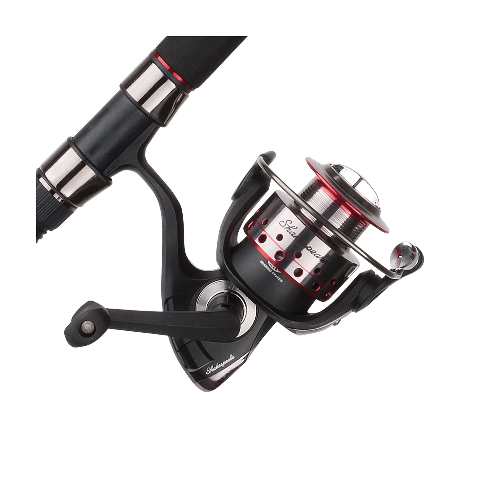 Spinning Reel and Fishing